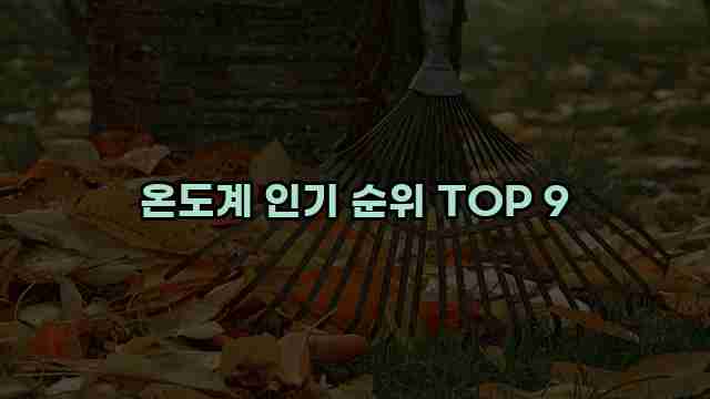 온도계 인기 순위 TOP 9