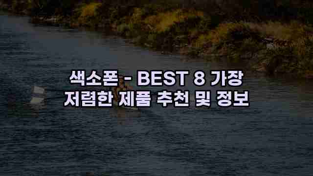 색소폰 - BEST 8 가장 저렴한 제품 추천 및 정보