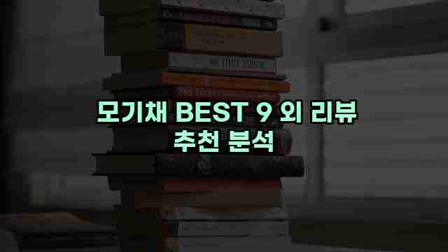  모기채 BEST 9 외 리뷰 추천 분석