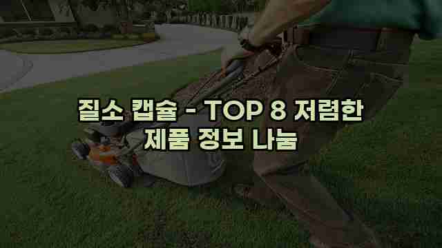 질소 캡슐 - TOP 8 저렴한 제품 정보 나눔 1 1 질소 캡슐 - TOP 8 저렴한 제품 정보 나눔
