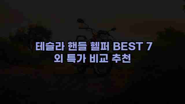  테슬라 핸들 헬퍼 BEST 7 외 특가 비교 추천