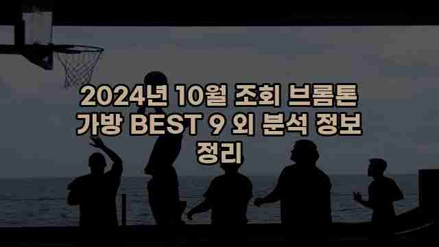 2024년 10월 조회 브롬톤 가방 BEST 9 외 분석 정보 정리