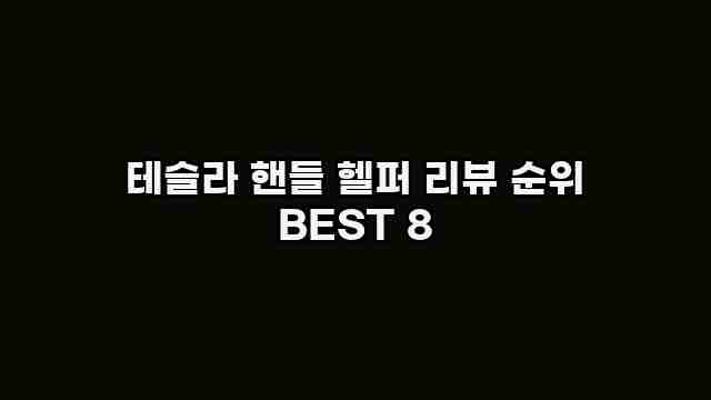 테슬라 핸들 헬퍼 리뷰 순위 BEST 8