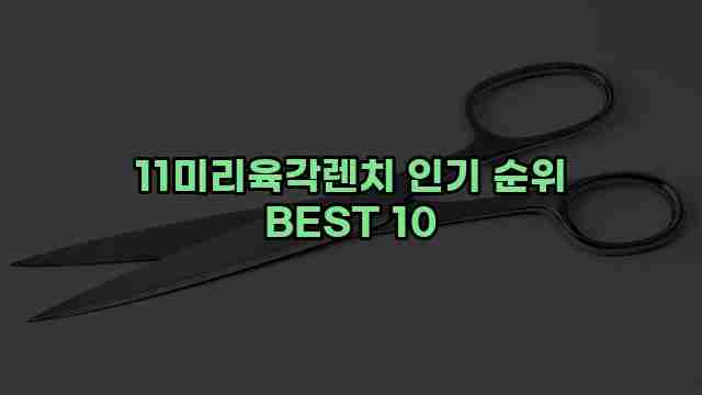 11미리육각렌치 인기 순위 BEST 10