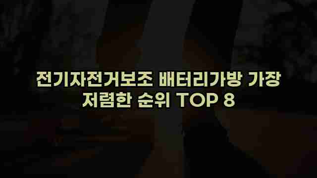 전기자전거보조 배터리가방 가장 저렴한 순위 TOP 8