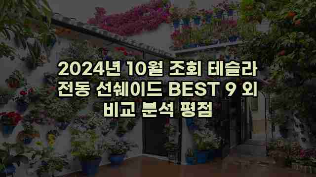 2024년 10월 조회 테슬라 전동 선쉐이드 BEST 9 외 비교 분석 평점