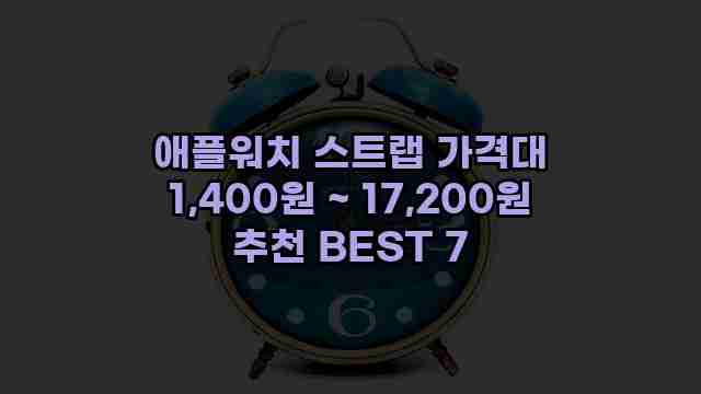 애플워치 스트랩 가격대 1,400원 ~ 17,200원 추천 BEST 7