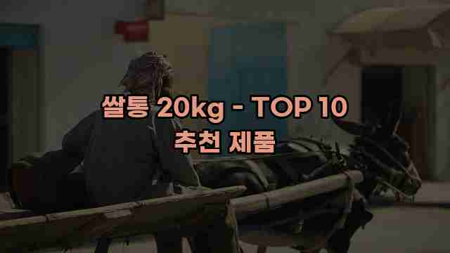 쌀통 20kg - TOP 10 추천 제품 