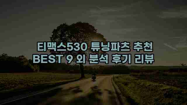  티맥스530 튜닝파츠 추천 BEST 9 외 분석 후기 리뷰