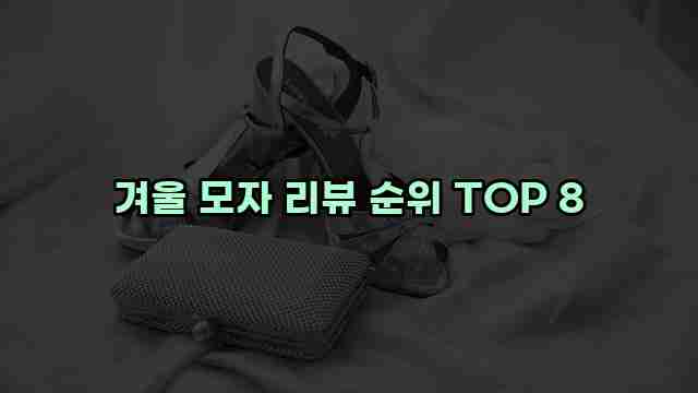 겨울 모자 리뷰 순위 TOP 8