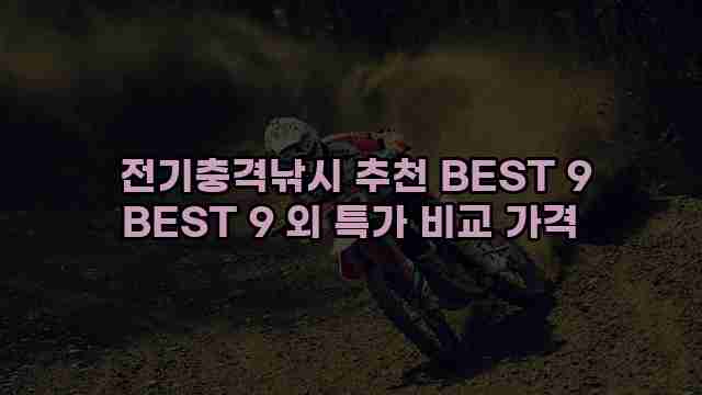  전기충격낚시 추천 BEST 9 BEST 9 외 특가 비교 가격