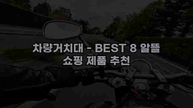 차량거치대 - BEST 8 알뜰 쇼핑 제품 추천