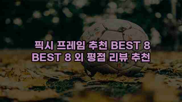  픽시 프레임 추천 BEST 8 BEST 8 외 평점 리뷰 추천