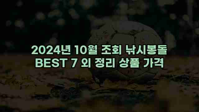 2024년 10월 조회 낚시봉돌 BEST 7 외 정리 상품 가격