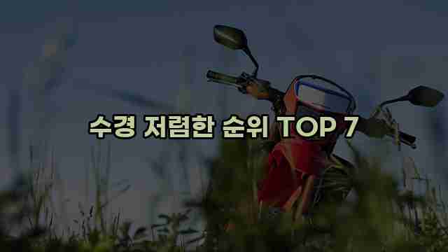 수경 저렴한 순위 TOP 7