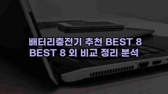  배터리충전기 추천 BEST 8 BEST 8 외 비교 정리 분석