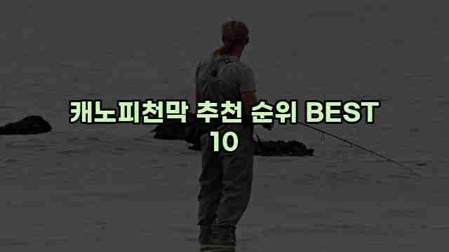 캐노피천막 추천 순위 BEST 10