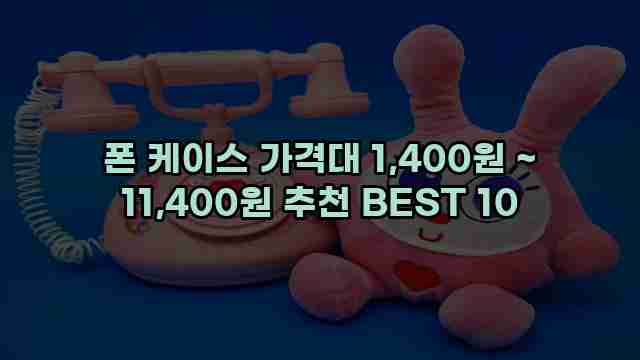 폰 케이스 가격대 1,400원 ~ 11,400원 추천 BEST 10