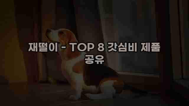 재떨이 - TOP 8 갓심비 제품 공유