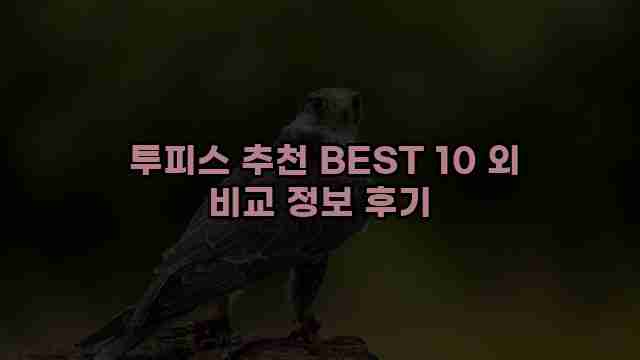  투피스 추천 BEST 10 외 비교 정보 후기