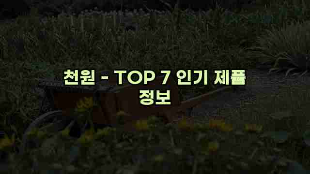 천원 - TOP 7 인기 제품 정보