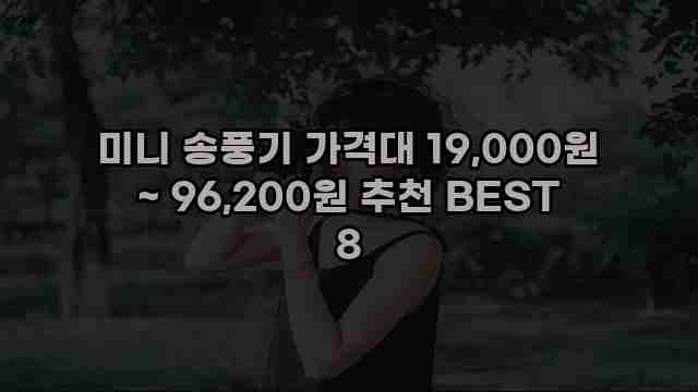 미니 송풍기 가격대 19,000원 ~ 96,200원 추천 BEST 8