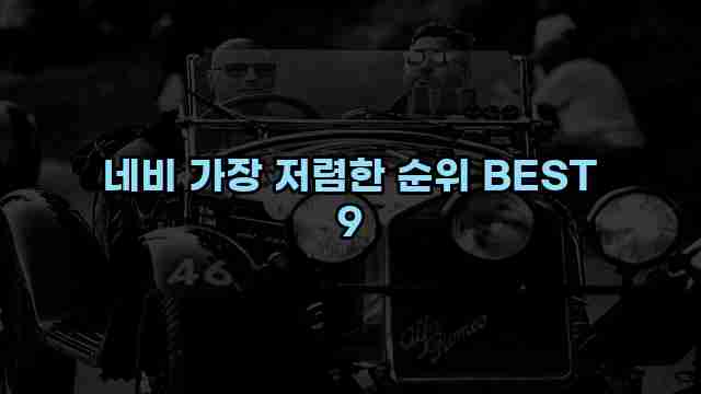 네비 가장 저렴한 순위 BEST 9