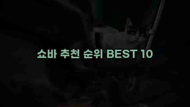 쇼바 추천 순위 BEST 10